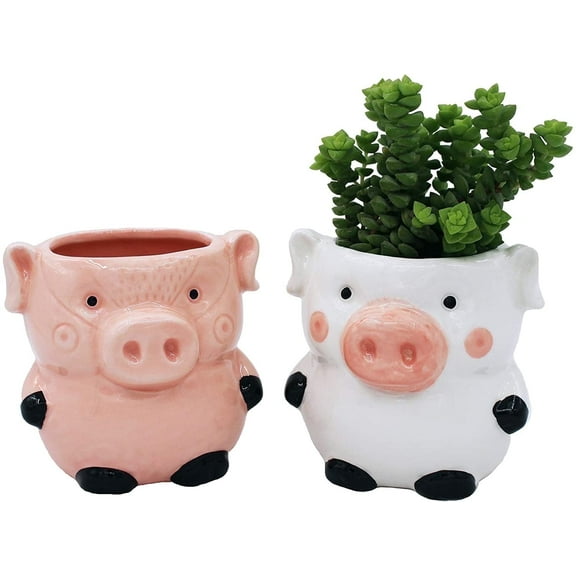 Cotta Planters Pig Succulent Planter Set, 2-Pack Mini Ceramic Animal Pots for Small Plants, Pink & White
