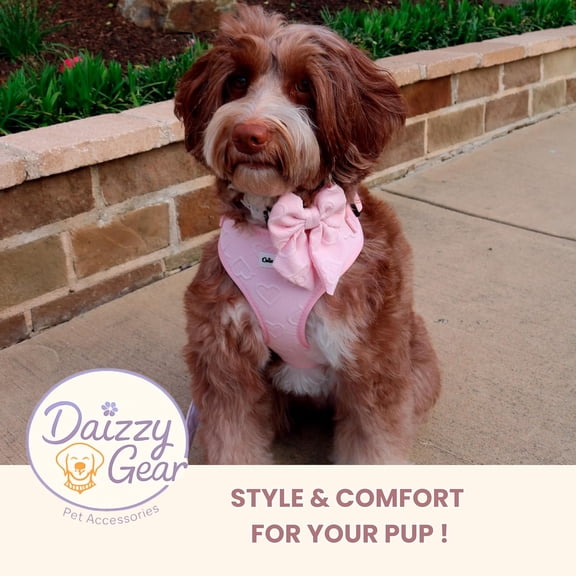 Cute Pink Hearts Pet Harness Set for Small Dogs - Adjustable, Breathable, All Weather