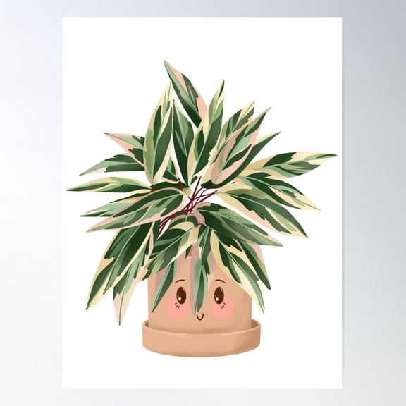 Cute Plant Illustration, Calathea Triostar Poster Wall Art, Modern Wall Decor For Living Room Bedroom, 12x18 UNFRAMED