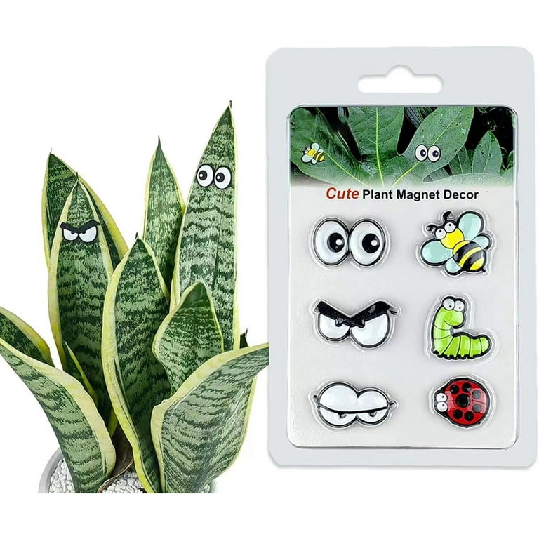 Cute Plant Magnets Eyes for Potted Plants, Plant Safe Magnet Pins Charms,  Unique Gifts for Plant Lovers, Indoor Plant Accessories, Set of 6