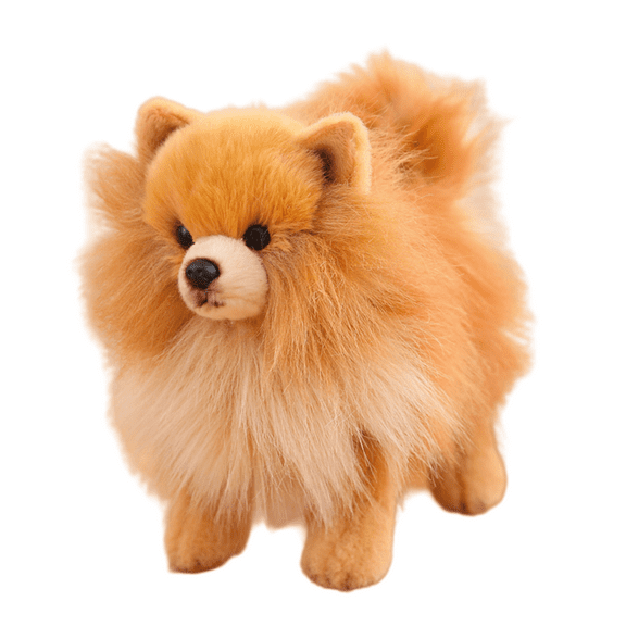 Cute Pomeranian Dog Stuffed Animal Plush- Realistic Pet Plush Toy Kid's Room Decor Gift -10.2 Inches