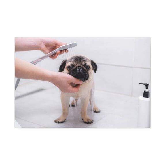 Cute Pug Bathee Canvas Wall Art for Home Decor Ready-to-Hang