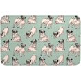 thumbnail image 1 of Cute Pug Dogs Bath Mat Non-Slip Soft Microfiber Bathroom Rugs Washable Bathmat, Carpet Rug Entryway Decor for Tub Shower Room Floor, 31.5x20 Mat, 1 of 6