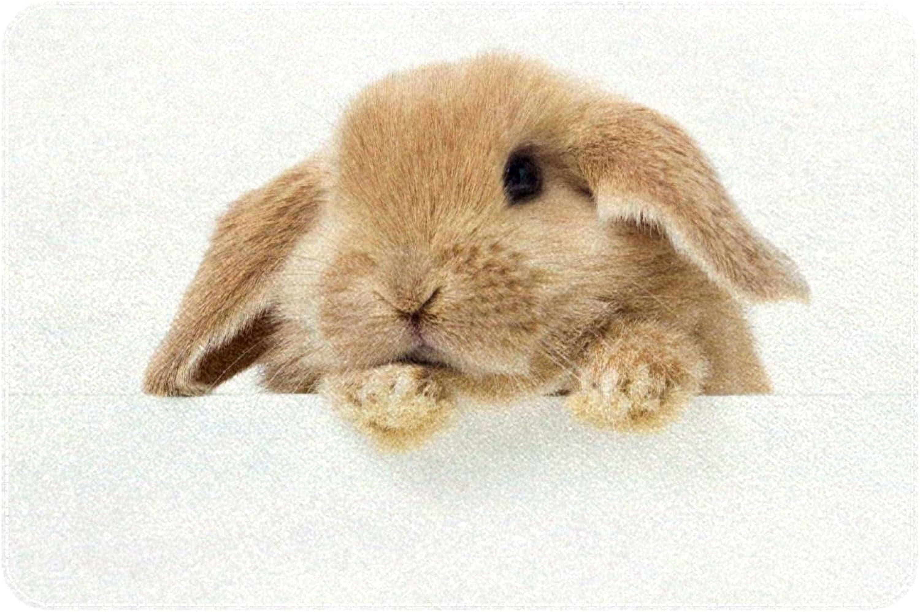 Cute Rabbit Bath Rugs Absorbent Non Slip Door Mats Soft Carpet Washable