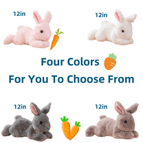 Cute Rabbit Bunny Stuffed Animal Plush Toy for Girlfriend Adult Kids Easer Birthday Christmas Gift