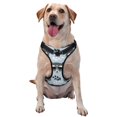 Cute Raccoon Pattern Dog Harness NoPull Pet Harness Adjustable Soft