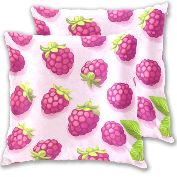 Cute Raspberry Fruit Throw Pillow Covers 16x16 Inch 2 Packs Decorative Square for Living Room Couch Bed Sofa