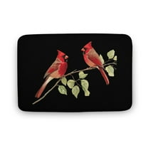 Cute Red Cardinal Couple on Branch Welcome Door Mat for Home Entrance Outdoors Mats Entry Rugs Non Slip Coral Velvet Inside Floor Mats 15.7"x23.6"