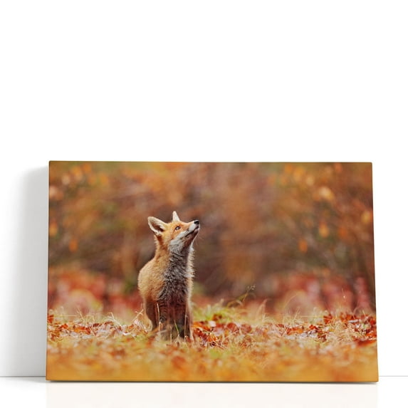 Cute Red Fox in Fall Forest - Wrapped Canvas Print Wall Art | 48" W x 32" H