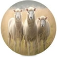 thumbnail image 1 of Cute Sheeps Round Placemats Washable Placemats Non-Slip Heat-Resistant Table Place Mats for Dining Kitchen Holiday Party Table 15.4"-4PCS Home Decor, 1 of 7