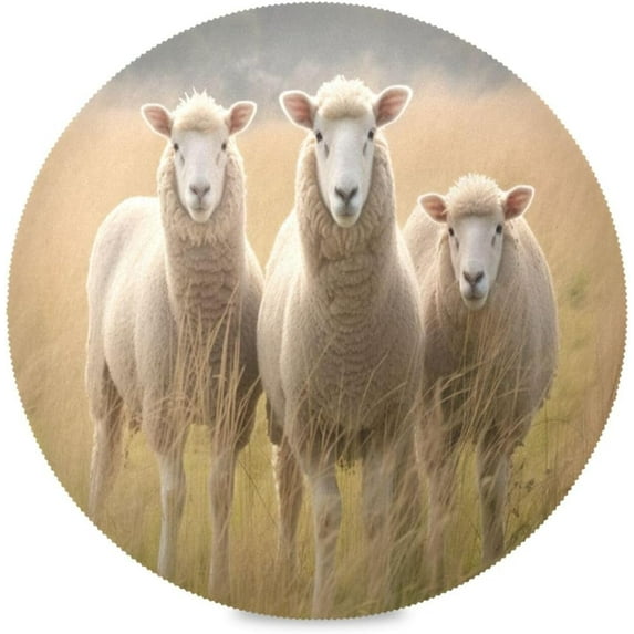 Cute Sheeps Round Placemats Washable Placemats Non-Slip Heat-Resistant Table Place Mats for Dining Kitchen Holiday Party Table 15.4"-6PCS Home Decor