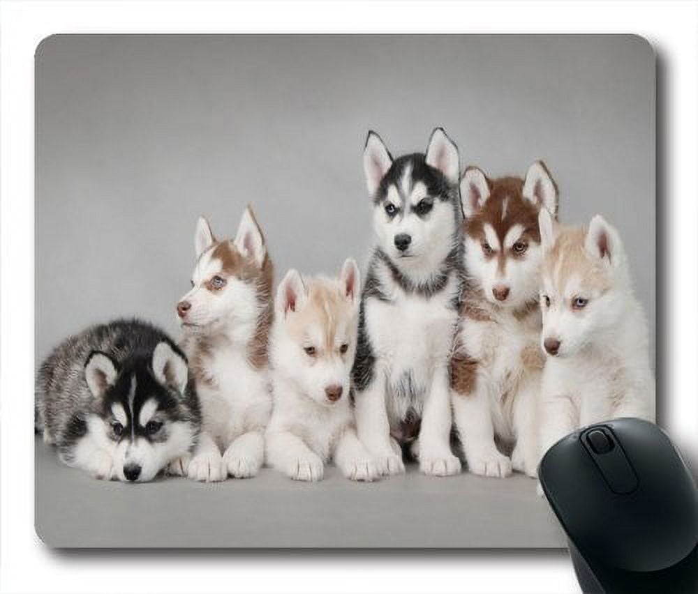 sibeian mouse Cute Siberian Husky Puppy Family Mouse pads Gaming Mouse Pad 9.84x7.87  inches - Walmart.com
