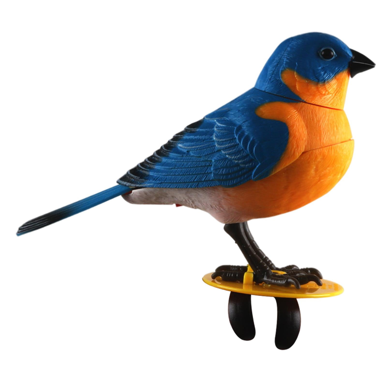 Musical bird toys deals