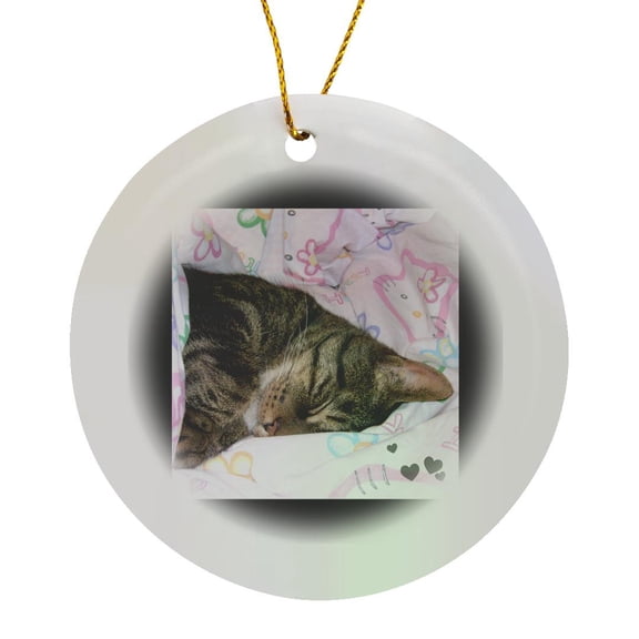 3drose, Cute Sleeping Black Brown Tabby Cat Photo, Circle Porcelain Ornament