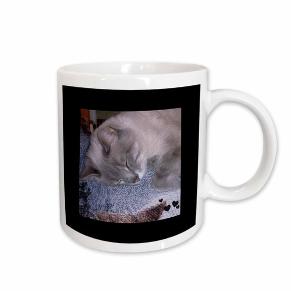 3drose, Cute Sleeping Grey White Siamese Cat Photo, 15oz Mug