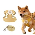 thumbnail image 1 of Cute Small Dog & Cat Harness Collar and Leash， Breathable Soft Mesh Padded Harness for Small Dogs & Cats, Perfect for Daily Walks, Parties, Holiday Gatherings & Gifts, Yellow,M, 1 of 7