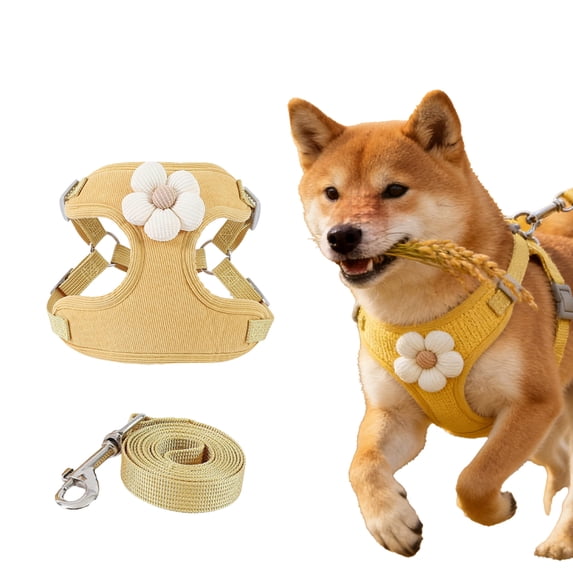 Cute Small Dog & Cat Harness Collar and Leash, Breathable Soft Mesh Padded Harness for Small Dogs & Cats, Perfect for Daily Walks, Parties, Holiday Gatherings & Gifts, Yellow,M