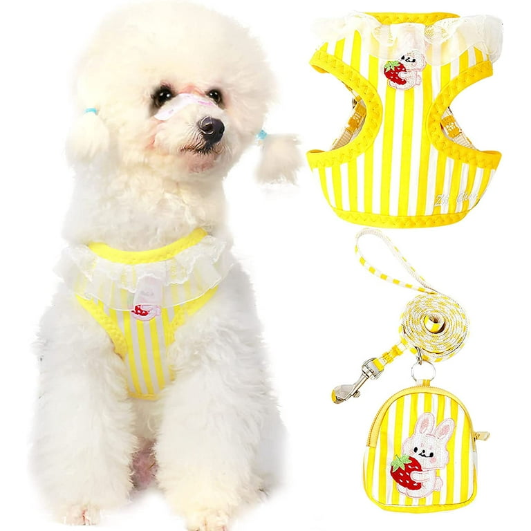 Cute Small Dog Harness and Leash Set with Bags No Pull Dog Vest Harness Soft Breathable Mesh Puppy Dog Harness for Small Dogs Cats Spring Summer