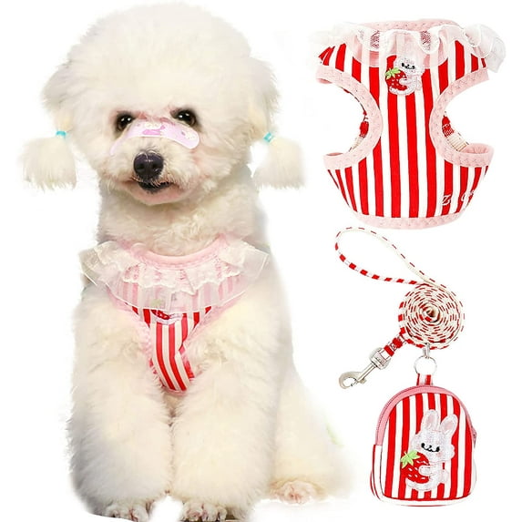 Cute Small Dog Harness and Leash Set with Bags No Pull Dog Vest Harness Soft Breathable Mesh Puppy Dog Harness for Small Dogs Cats Spring Summer Yorkies Shih Tzu