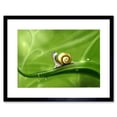 thumbnail image 1 of Cute Snail Rain Art Print Black Framed Poster Wall Decor 9x7 inch, 1 of 5