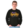 thumbnail image 1 of Cute Spooky Halloween Spider Web Unisex Plus Fleece Graphic Sweatshirt Brisco Brands 5X, 1 of 6