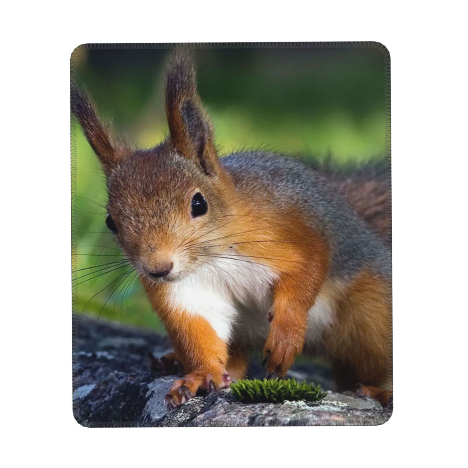 Cute Squirrel Mousepad Mouse Pad Mouse Mat With Non Slip Rubber Base 7