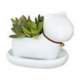thumbnail image 1 of Cute Succulent Plant Pots, Animal-shaped Flower Pots Desktop Decorative Ornaments Suitable For Home, Office, Desks (Cat ), 1 of 5