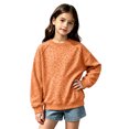 thumbnail image 1 of Cute Sweatshirts for Girls 10-12 Crewneck Raglan Long Sleeve Girls Pullover Top Lightweight Leopard Print Sweaters for Teen Girls Winter Back To School Outfits for Teen Girls, 1 of 4