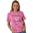 thumbnail image 1 of Cute Texas Girl Lone Star State Texan Women's Graphic T Shirt Tees Brisco Brands X, 1 of 6