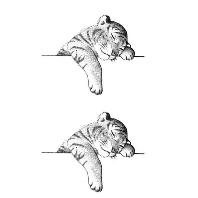 Cute Tiger Black Temporary Body Art Waterproof Fake Tattoo Stickers for Men & Women - 5 Sheets