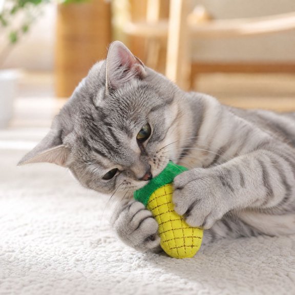Cute Vegetable Shaped Catnip Toys for Cats, Soft Fabric Interactive Kitten Chew Toys, Assorted Fruit Veggie Cat Plush Play Toy for Indoor Play