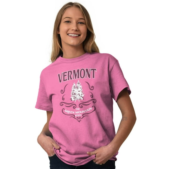 Cute Vermont Green Mountain State Women's Plus Size Graphic Tee Brisco Brands 2X