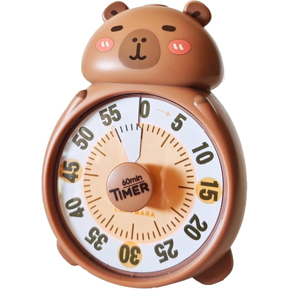 Cute Visual Timer for Kids, Kids 60 Minute Countdown Timer for Teaching, Silent Time Management Tools for Home Classroom Office Kitchen, Desk Timer for Toddler ADHD