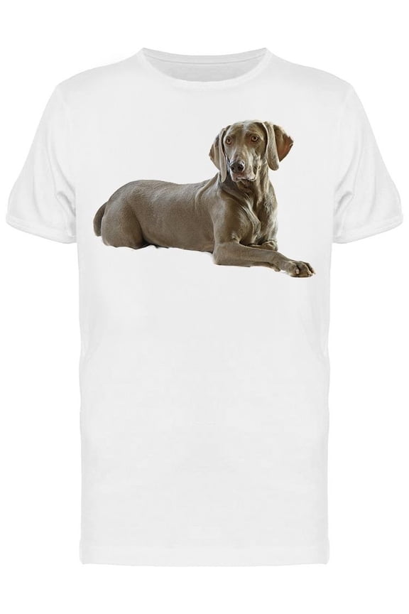 Cute Weimaraner, Sitting T-Shirt Men -Image by Shutterstock, Male x-Large