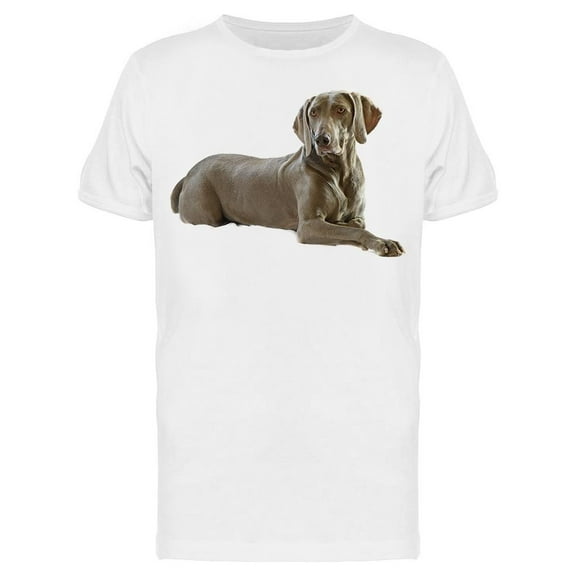 Cute Weimaraner, Sitting T-Shirt Men -Image by Shutterstock, Male x-Large