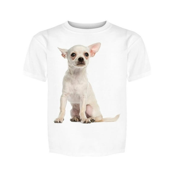 Cute White Chihuahua, Sitting Tee Girl's -Image by Shutterstock