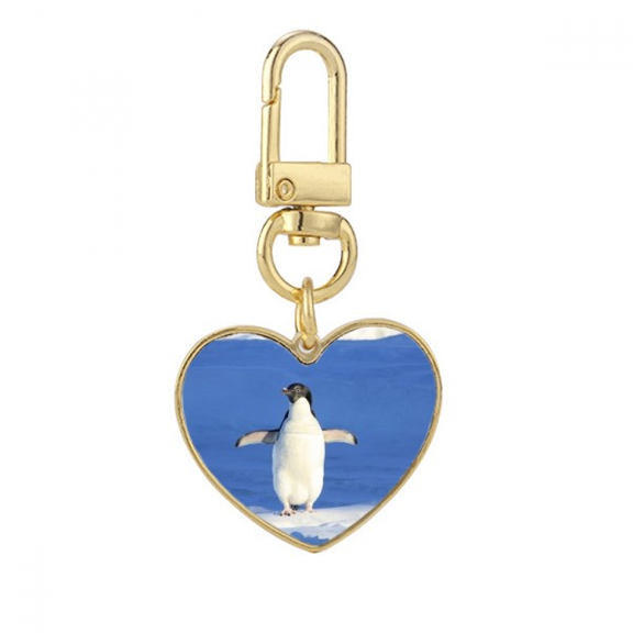 Cute White Penguin Science Nature Picture Gold Heart Keychain Metal Keyring Holder