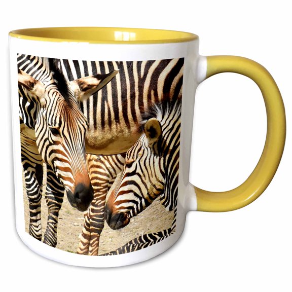 3drose, Cute Zebras Standing Together Nature Photography, 11oz Two-tone Yellow Mug