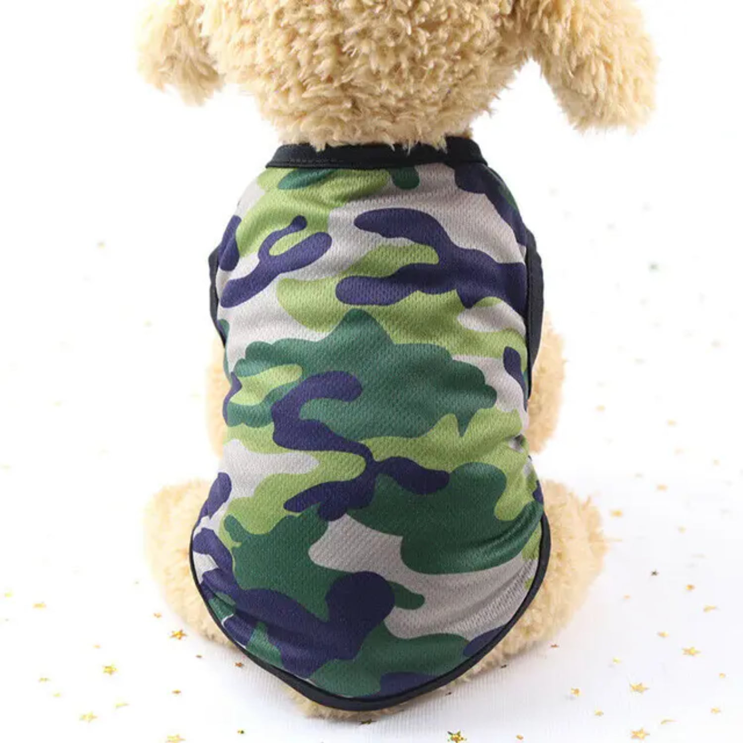 Cute and Adorable Pet Supplies for Your Beloved Furry Friends - Find