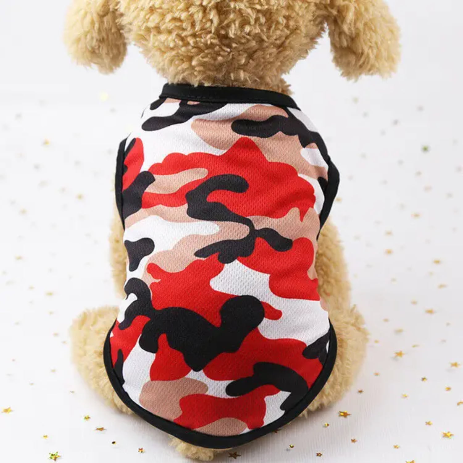 Cute and Adorable Pet Supplies for Your Beloved Furry Friends - Find