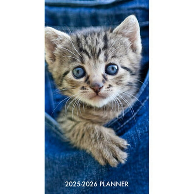 Cute as a Kitten 2Year 202526 3.5 X 6.5 Monthly Pocket Planner