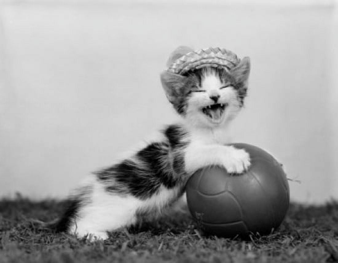Cute kitten with ball Canvas Art - (18 x 24)