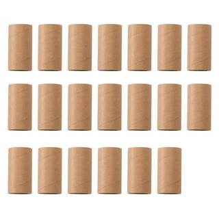 20Pcs Cardboard Tubes 9.8x1.8 Inch Craft Tubes Paper Towel Tolls, Toilet  Paper Rolls for Crafts，DIY Art Craft Handmade Projects, Classrooms