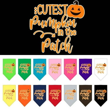 Mirage Pet Cutest Pumpkin in the Patch Screen Print Bandana Cocoa Small