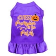 thumbnail image 1 of Cutest Pumpkin in the Patch Screen Print Dog Dress, 1 of 3