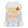 thumbnail image 1 of Cutest Pumpkin in the Patch Screen Print Dog Dress, 1 of 2