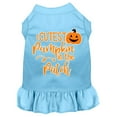 thumbnail image 1 of Cutest Pumpkin in the Patch Screen Print Dog Dress, 1 of 2