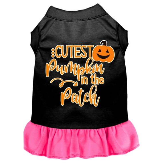 Cutest Pumpkin in the Patch Screen Print Dog Dress