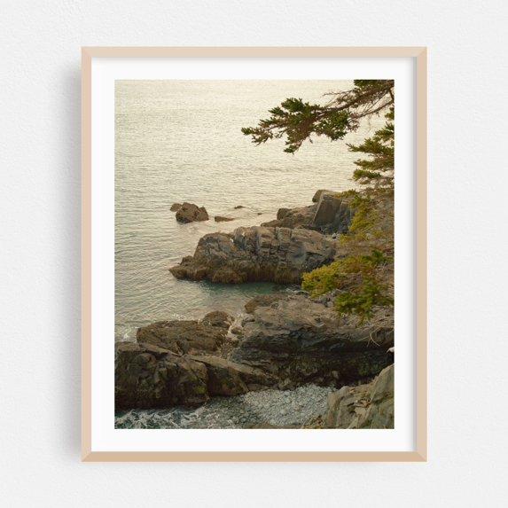 Cutler Coast 01 - Cutler Maine Photography Coast Ocean Nature Scenic Landscape Oak Framed Wall Art Print 8 x 10 inches