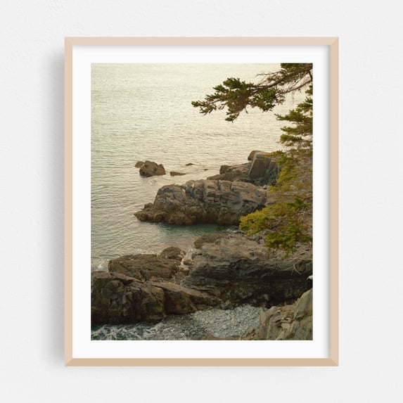 Cutler Coast 01 - Cutler Maine Photography Coast Ocean Nature Scenic Landscape Water Oak Framed Wall Art Print 6 x 8 inches
